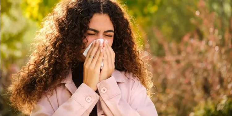 Como fortalecer o sistema imunológico no outono? Veja dicas