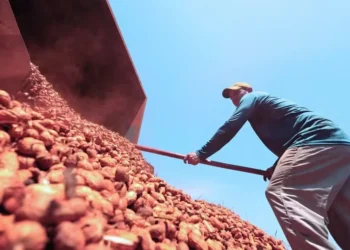 Consumo em alta no país e crescimento das exportações têm elevado os preços da oleaginosa no mercado brasileiro — Foto: Pierre Duarte