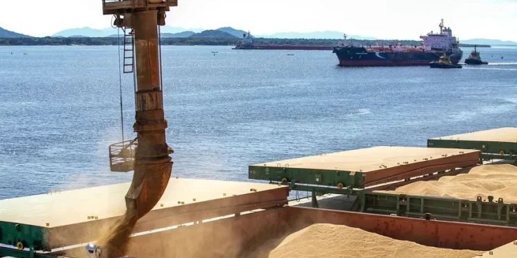 Brasil deve exportar 107 milhões de toneladas de soja em 2025