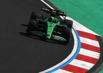 Gabriel Bortoleto vai largar em 19º no GP da China • Foto: Divulgação/ @stakef1team_ks