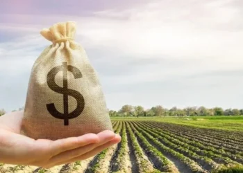 Recurso deve ser insuficiente — Foto: Globo Rural