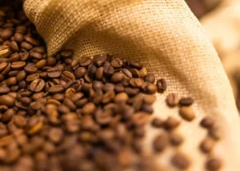 Brasil deve ter pouco café disponível para exportar em 2025/26 — Foto: Wenderson Araujo/CNA