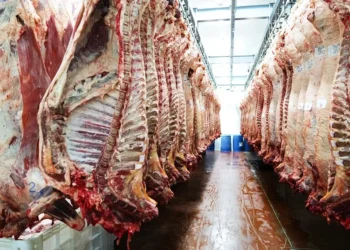 Carne bovina em frigorífico — Foto: Getty Images