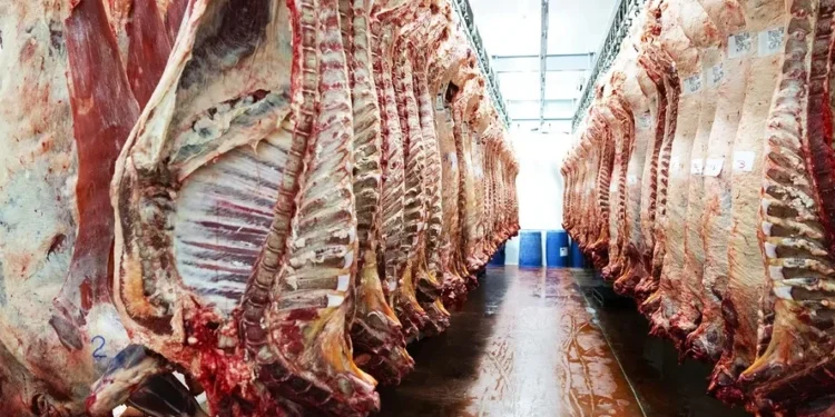 Carne bovina em frigorífico — Foto: Getty Images