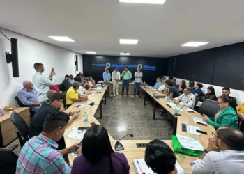 Em plenária realizada na Semarh, nova composição dos comitês da Bacia do Rio Formoso e do Lago de Palmas é eleita. - Foto: Divulgação Semarh/Governo do Tocantins