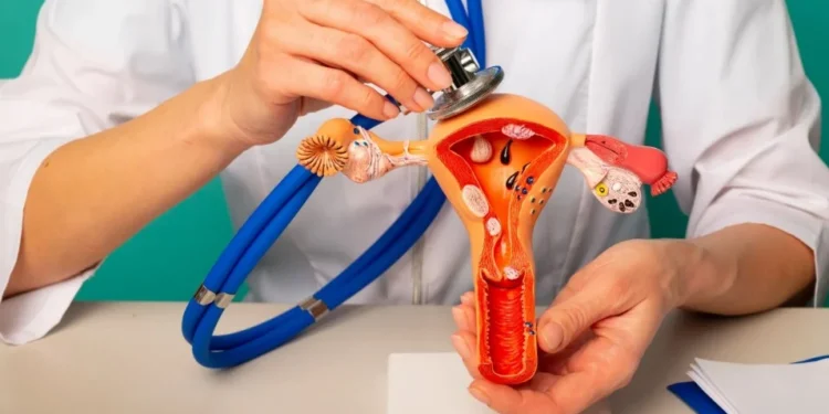 Como infecção por HPV pode virar câncer de colo de útero? Entenda