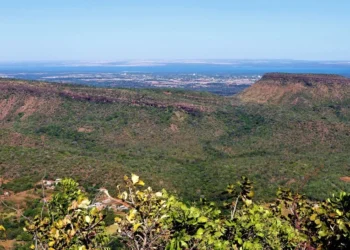 Tocantins registra redução de 33,5% na área queimada e 43,6% nos focos no primeiro bimestre de 2025