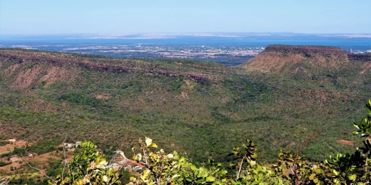 Tocantins registra redução de 33,5% na área queimada e 43,6% nos focos no primeiro bimestre de 2025