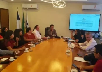 Reunião entre Sindicato dos Trabalhadores do Tocantins e a Secretaria de Educação (Foto: Reprodução/Sintet)