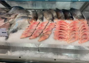 Consumidor pode ter acesso a vários tipos de pescado - Foto: Arquivo/Jarbas Roberto