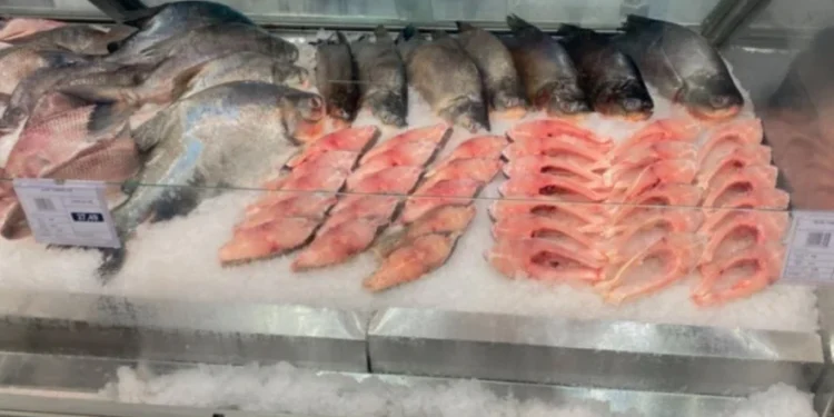 Consumo de peixes até a chegada da Semana Santa pode chegar a 100% em algumas regiões do País, segundo a PeixeBR