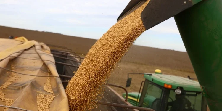 Datagro eleva estimativas de safras de soja e milho do Brasil