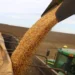 Datagro eleva estimativas de safras de soja e milho do Brasil