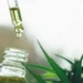 Uso da cannabis: Anvisa vai abrir consulta pública sobre regulamentação