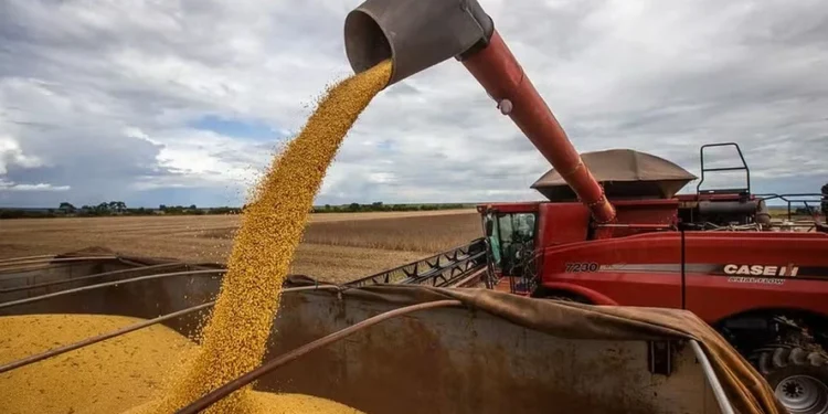 A Agroconsult elevou sua estimativa para a safra de soja no Brasil em 2024/25 para 172,1 milhões de toneladas, — Foto: Wenderson Araujo/CNA
