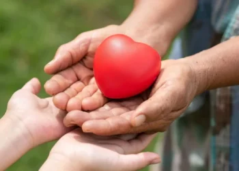 Transplante de coração costuma ter pós-operatório de sucesso, médico explica • Freepik