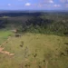 Mais de 90% dos desmatamentos realizados no bioma amazônico são feitos de maneira ilegal — Foto: Vinícius Mendonça/Ibama