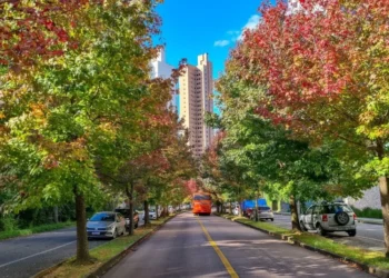 Rua de Curitiba (PR) durante o outono de 2023 • Carlos Maranhao/Getty images