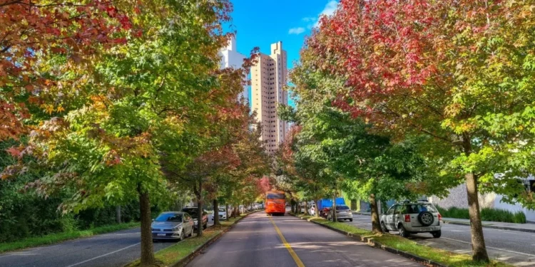 Massa de ar frio deve deixar clima mais ameno no Brasil em abril