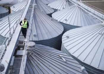 Trabalhador do campo precisa ser cada vez mais qualificado — Foto: Freepik