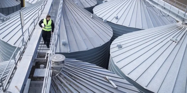 Tecnologia e ganho de produtividade fazem cair ocupação no agro