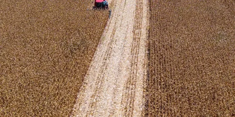 Proposta prevê uso de fundo do pré-sal no RS