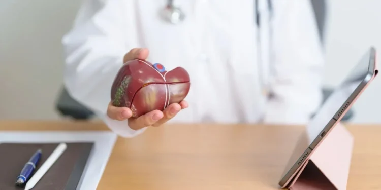 Gordura no Figado • Panuwat Dangsungnoen/Getty Images