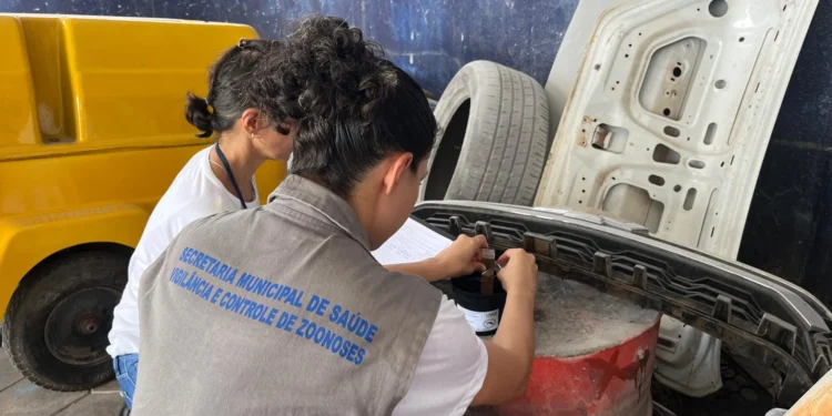 Novas armadilhas para capturar ovos do mosquito da dengue são instaladas pela Prefeitura de Palmas