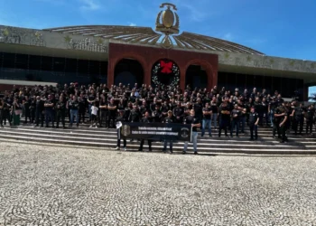 Crédito: Reprodução