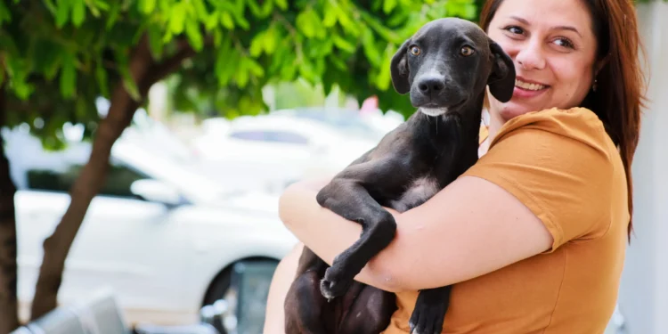 Foto: : Regiane Rocha