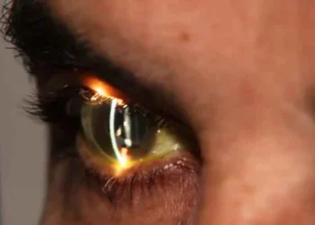 crédito: Reprodução de Youtube Canal SBT News