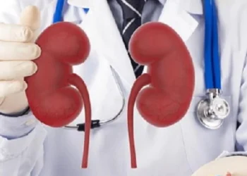 Além do check-up regular, hábitos saudáveis são essenciais para a preservação da função renal
crédito: Flickr Ozone Hospital