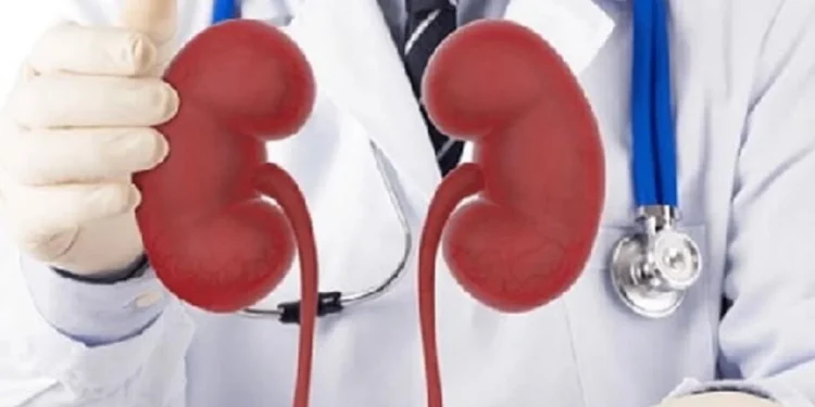 Além do check-up regular, hábitos saudáveis são essenciais para a preservação da função renal
crédito: Flickr Ozone Hospital