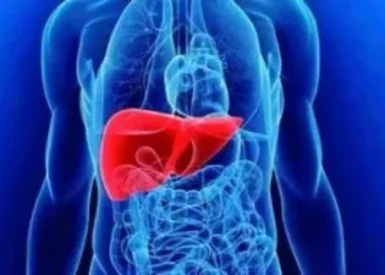 Não há diagnóstico precoce, exames menos invasivos e tratamentos eficazes para a maioria dos casos
crédito: DINO