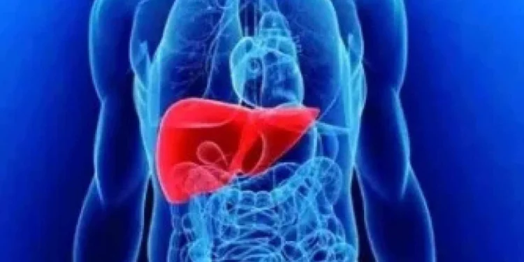 Doenças hepáticas enfrentam estigma e diagnóstico tardio