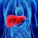 Doenças hepáticas enfrentam estigma e diagnóstico tardio