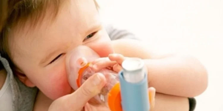 Casos de VSR tendem a aumentar no outono, alerta infectologista