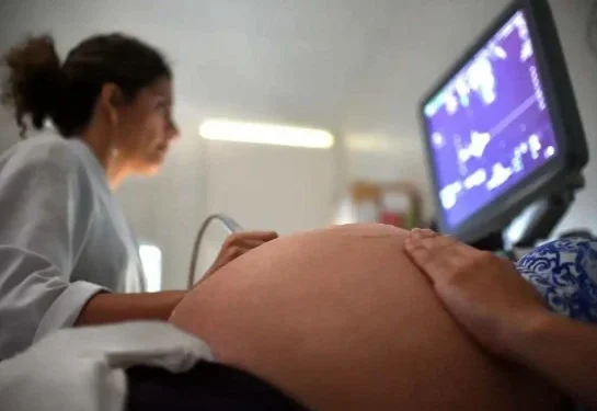 O estudo realizado entre 2012 e 2023 concluiu que crédito: Arquivo/Andre Borges/Agência Brasília