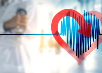 O procedimento incorpora uma tecnologia inovadora com tratamento anticalcificação, impedindo a degeneração precoce do material
crédito: Geralt/Pixabay