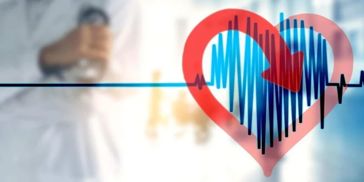 O procedimento incorpora uma tecnologia inovadora com tratamento anticalcificação, impedindo a degeneração precoce do material
crédito: Geralt/Pixabay