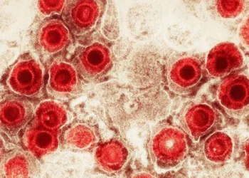 O herpes zoster acontece pela reativação do vírus varicela, que inicialmente causa a catapora
crédito: Getty Images