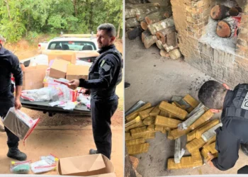Aproximadamente 80kg de maconha, 20kg de cocaína e 70 mil comprimidos de anfetamina foram incinerados - Divulgação PC/TO
