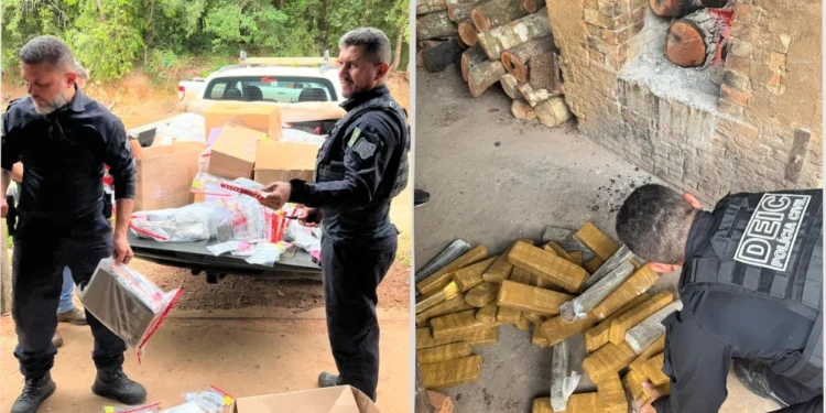Aproximadamente 80kg de maconha, 20kg de cocaína e 70 mil comprimidos de anfetamina foram incinerados - Divulgação PC/TO