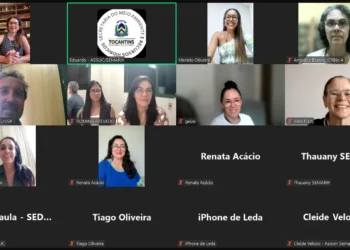 Membros do Comitê Pró-Animais reunidos virtualmente durante a 29ª Reunião Ordinária. ( Divulgação Semarh/Governo do Tocantins)