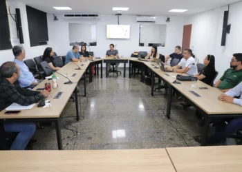 Comitê Técnico inicia análise das diretrizes para instruir a consultoria de elaboração do Plano Estadual de Recuperação da Vegetação Nativa do Tocantins