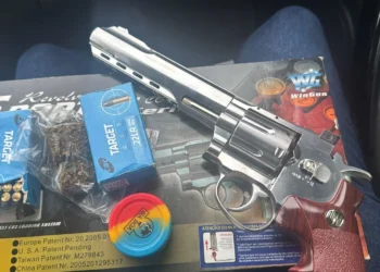 Arma e munições apreendidas com o investigado durante cumprimento do mandado de busca - Divulgação PCTO