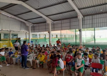 Foto: Divulgação Sema