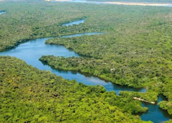 A primeira área contemplada com o projeto Tocantins Restaura será o Parque Estadual do Cantão, com possibilidade de recuperar até 12 mil hectares de área degradada por fogo - Flávio Cavalera/Governo do Tocantins