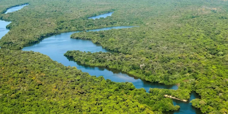 Tocantins lidera na Região Norte com maior índice de recuperação de áreas degradadas