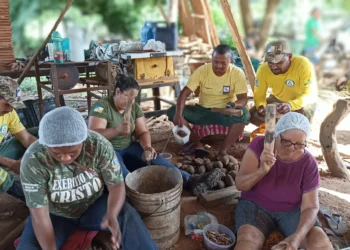 Neste mês de abril já foram realizadas duas quebras de coco babaçu com apoio da equipe da APA Ilha do Bananal/Cantão